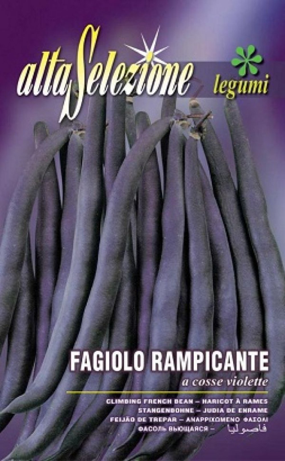 SEMINTE  FASOLE URCATOARE COSSE VIOLETTE 170 GR