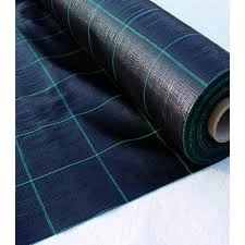 Plasa Agrotextil 2x100M