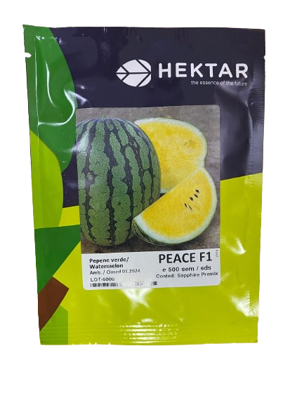 Pepene verde PEACE F1, Hektar - 500 seminte