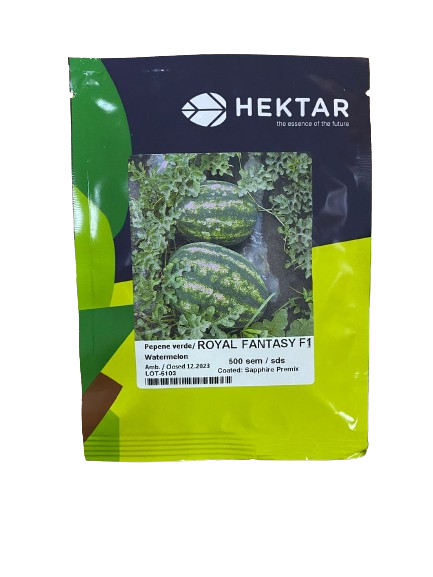 Pepene verde ROYAL FANTASY F1, Hektar - 500 seminte