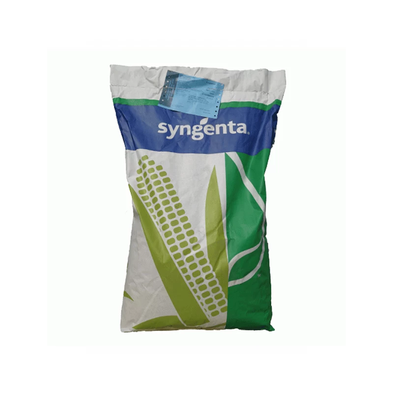 Samanta porumb Syngenta SCORPIUS, FAO 300
