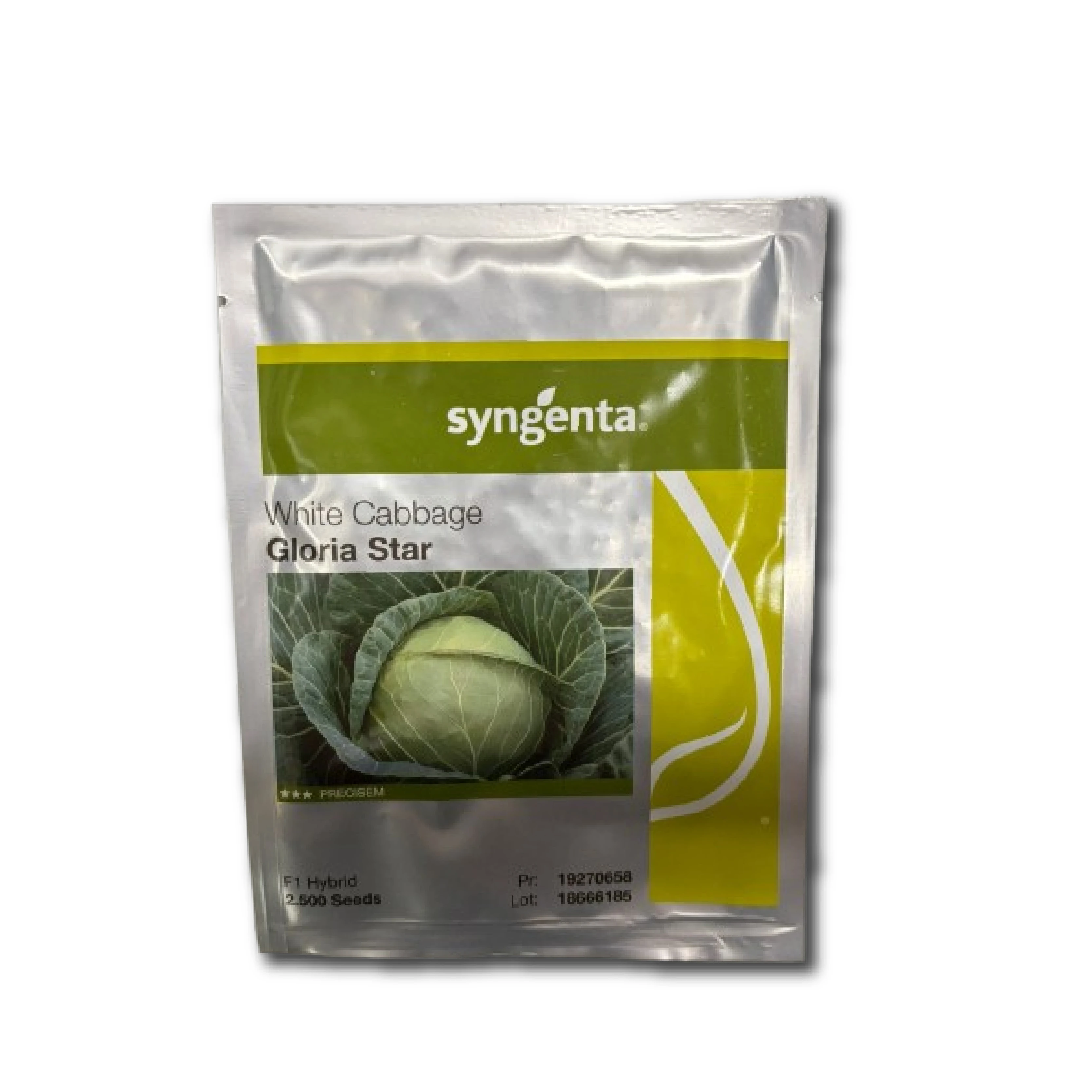 Seminte de Varza GLORIA STAR F1, Syngenta , 2.500 semin